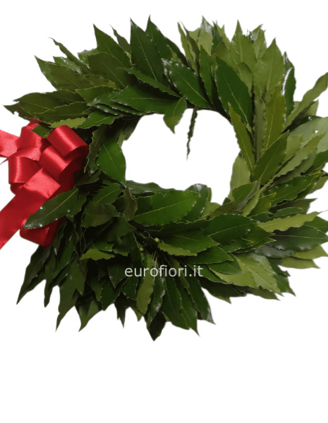 Coroncina per laurea con bacche di  ipericum