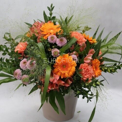Bouquet di gerbere e sancarlino
