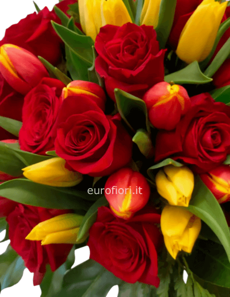 Bouquet tulipani vari colori e rose